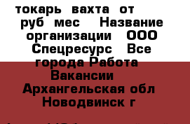 токарь. вахта. от 50 000 руб./мес. › Название организации ­ ООО Спецресурс - Все города Работа » Вакансии   . Архангельская обл.,Новодвинск г.